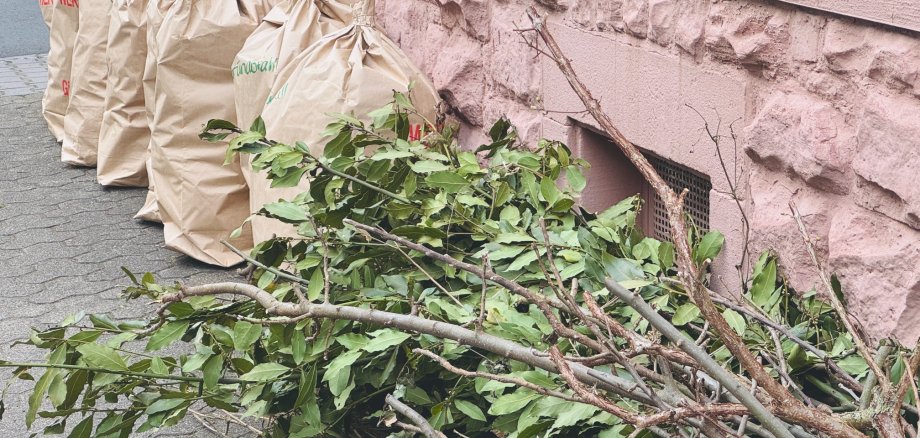 Grünmüll Grünmüll