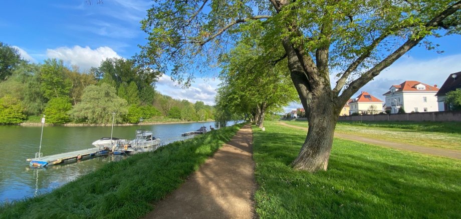 Altrhein Ginsheim - "Bansen" Altrhein