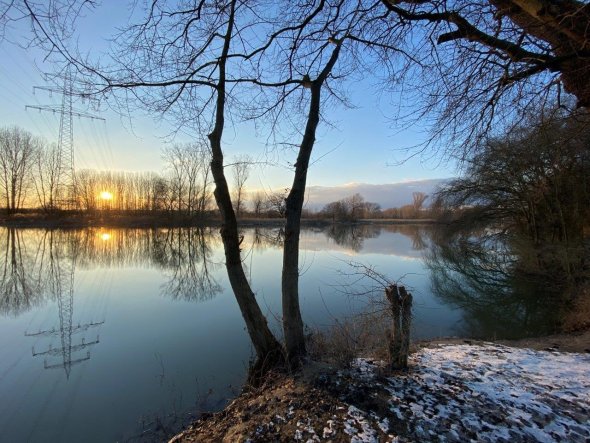 Altrhein Ginsheim - Neuaue Neuau