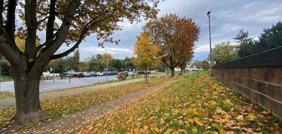 Altrheinufer - Herbststimmung Altrheinufer - Herbststimmung