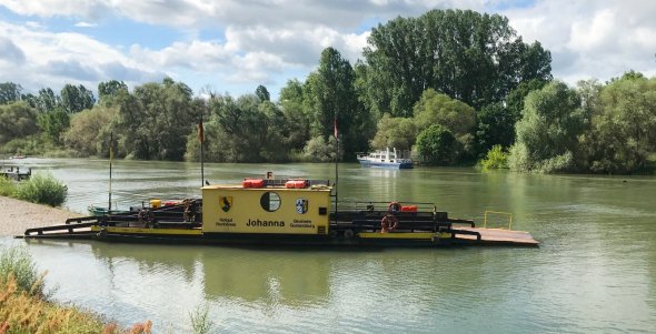 Altrheinfähre "Johanna" Altrheinfähre Johanna