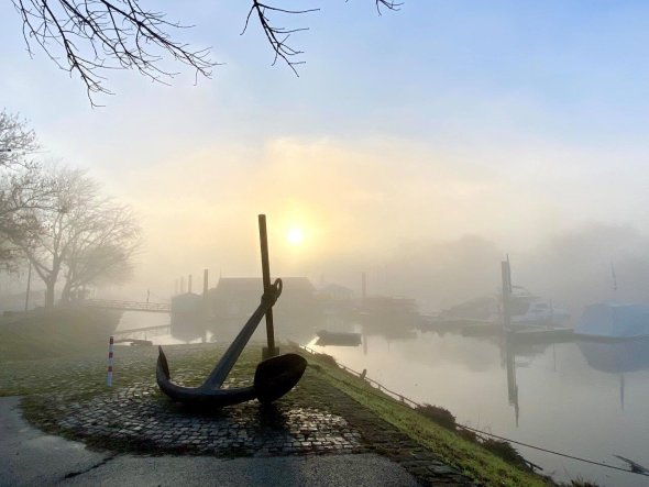 Anker Ginsheim Altrhein Ginsheim