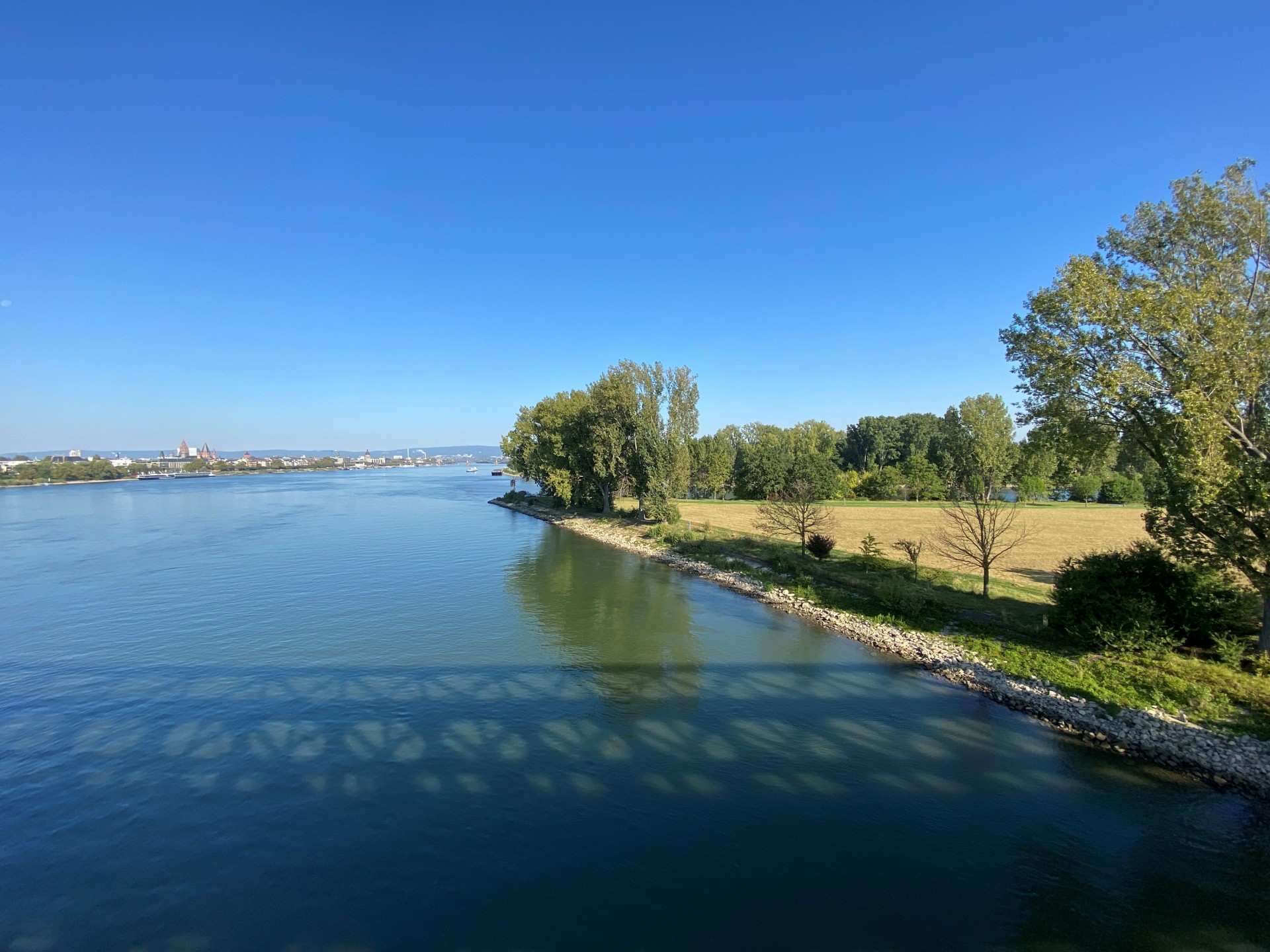 Mainspitze Gustavsburg - Rhein in Richtung Mainz