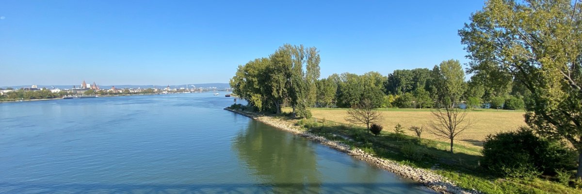 Mainspitze Gustavsburg - Rhein in Richtung Mainz Mainspitze Gustavsburg - Rhein in Richtung Mainz