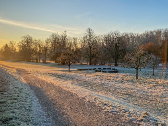 Morgenstimmung am Steinkreis - Altrheinufer Ginsheim Ginsheimer Altrheinufer