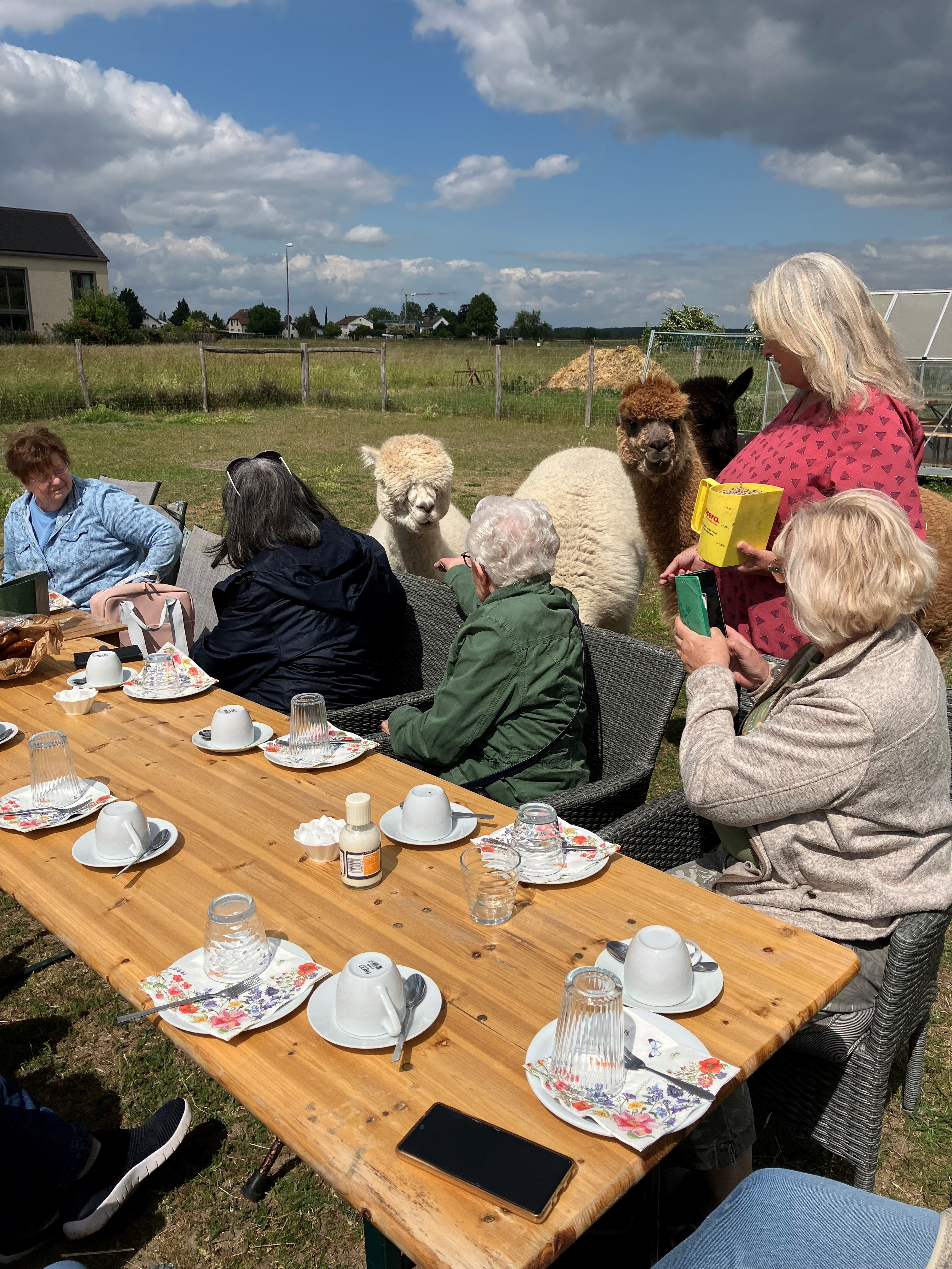 Alpakaweide mit Besucherinnen