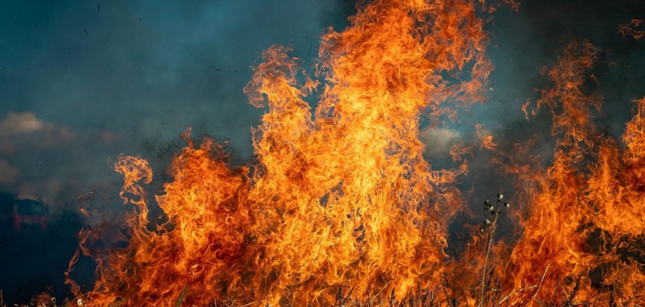 Flächenbrand Flächenbrand