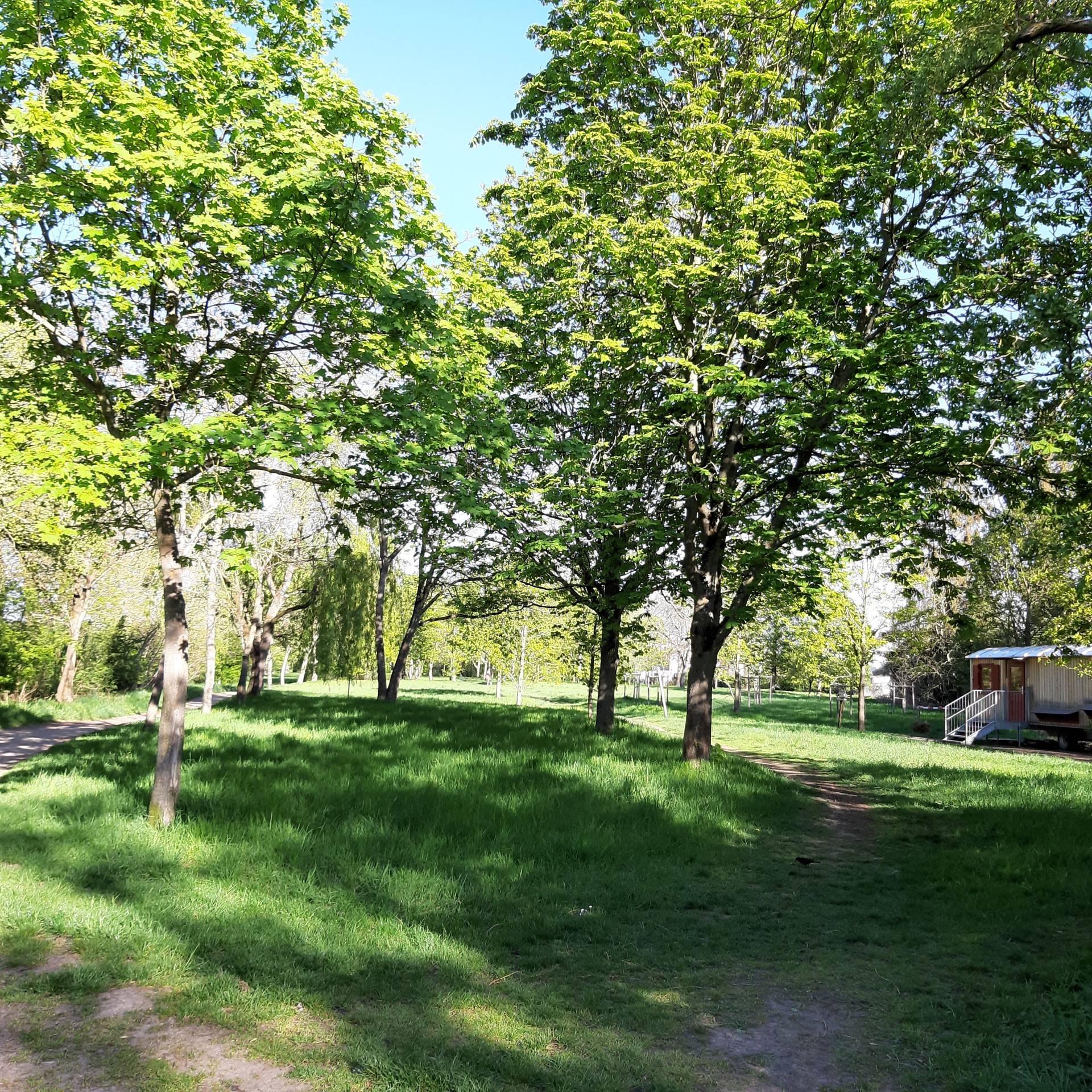 Gebiet „Klauern“ heute. Blick vom Abwasserpumpwerk mit Natur-Kindergarten, Richtung „Nachtweide“ im Osten