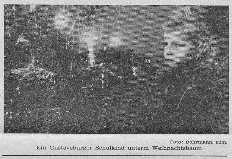 Schulzeitschrift für den Kreis Groß-Gerau Nr. 8 vom Dezember 1950 - Bild: "Ein Gustavsburger Schulkind unterm "Weihnachtsbaum"