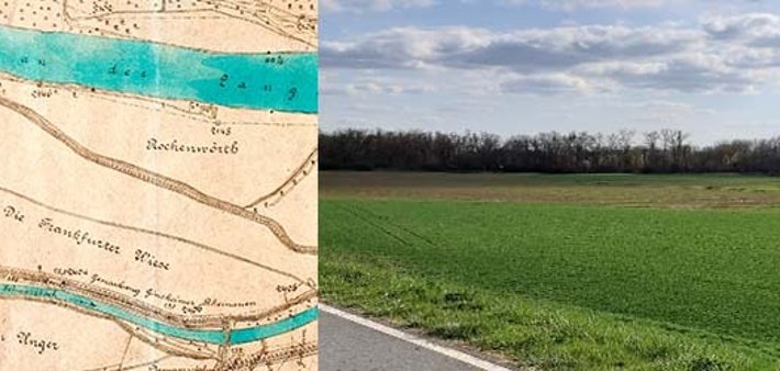 Frankfurter Wies' Frankfurter Wies'