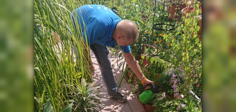 Tigermückenbekämpfung