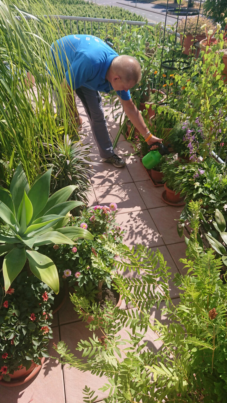 Tigermückenbekämpfung Tigermückenbekämpfung