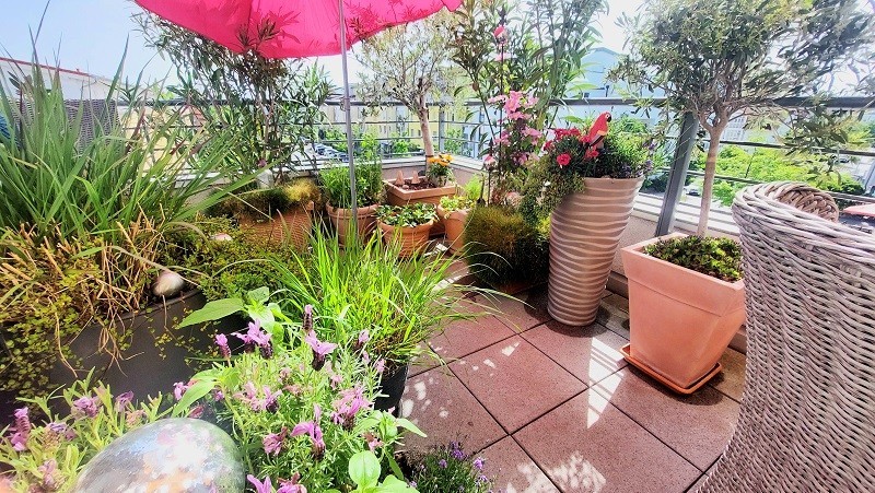Balkon Gerlinde Schmit Balkon Gerlinde Schmit