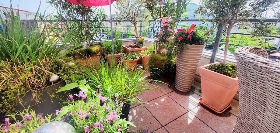Balkon Gerlinde Schmit