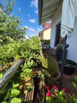 Balkon Marita Lange