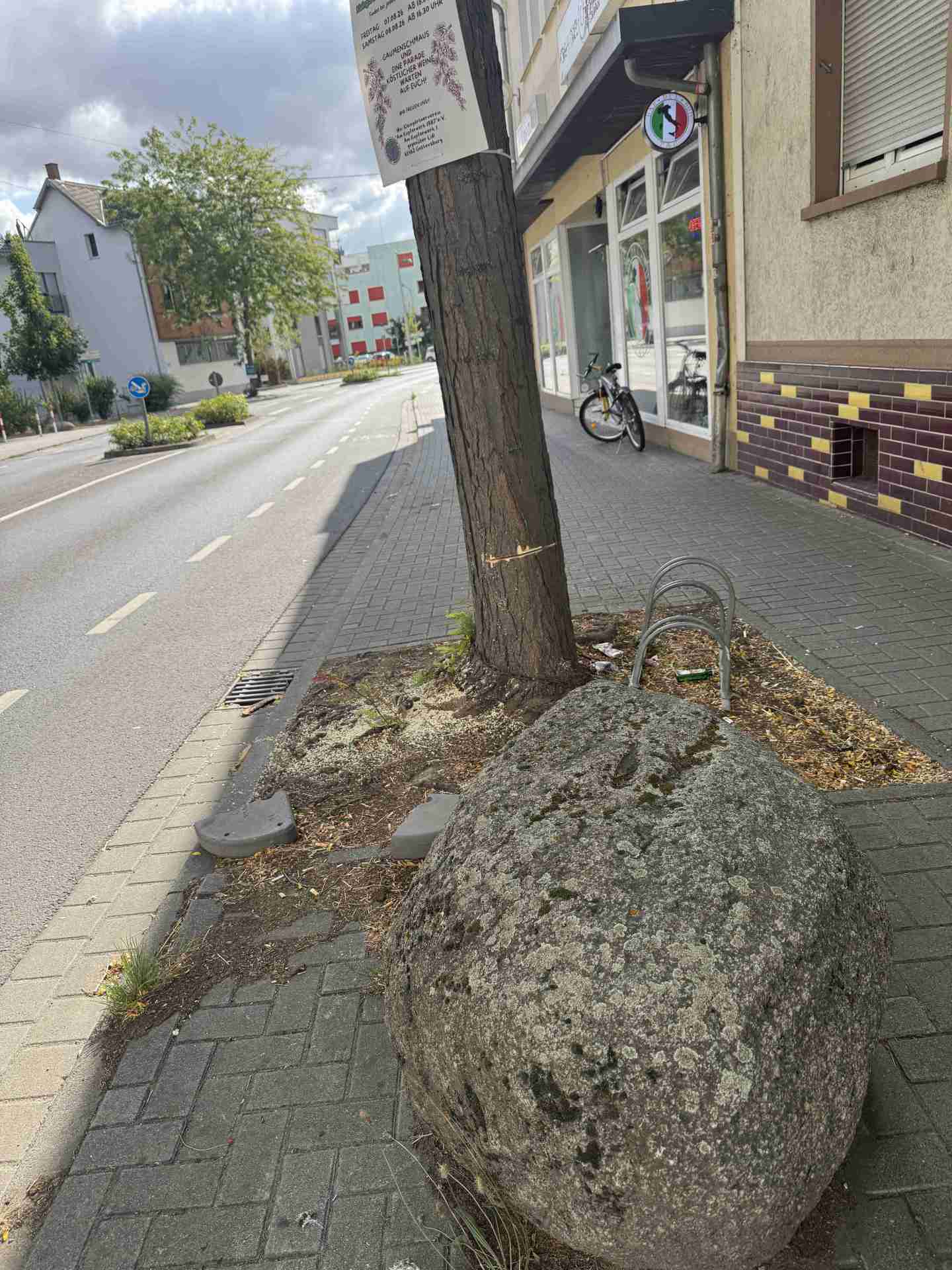 beschädigter Baum in Gustavsburg