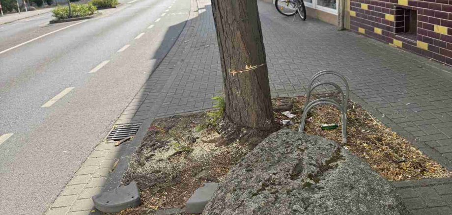 beschädigter Baum in Gustavsburg beschädigter Baum in Gustavsburg