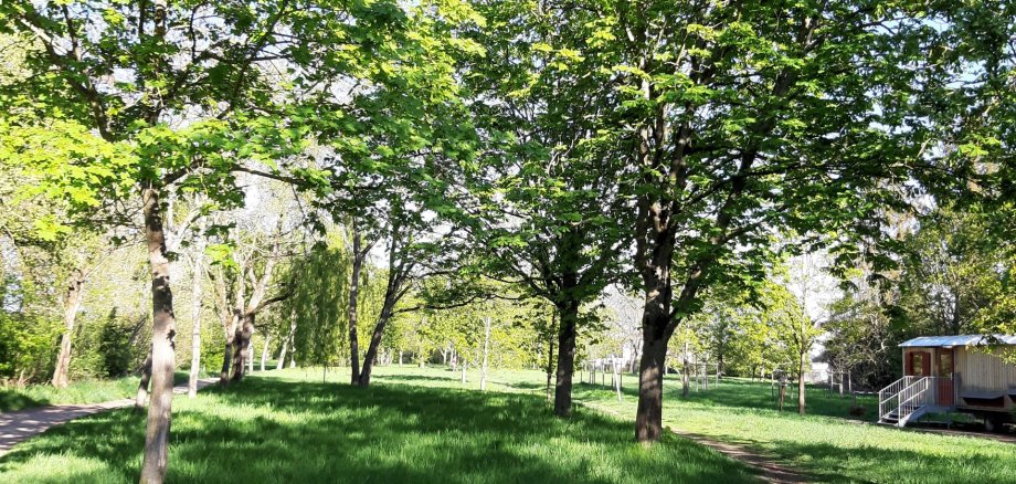 Gebiet „Klauern“ heute. Blick vom Abwasserpumpwerk mit Natur-Kindergarten, Richtung „Nachtweide“ im Osten