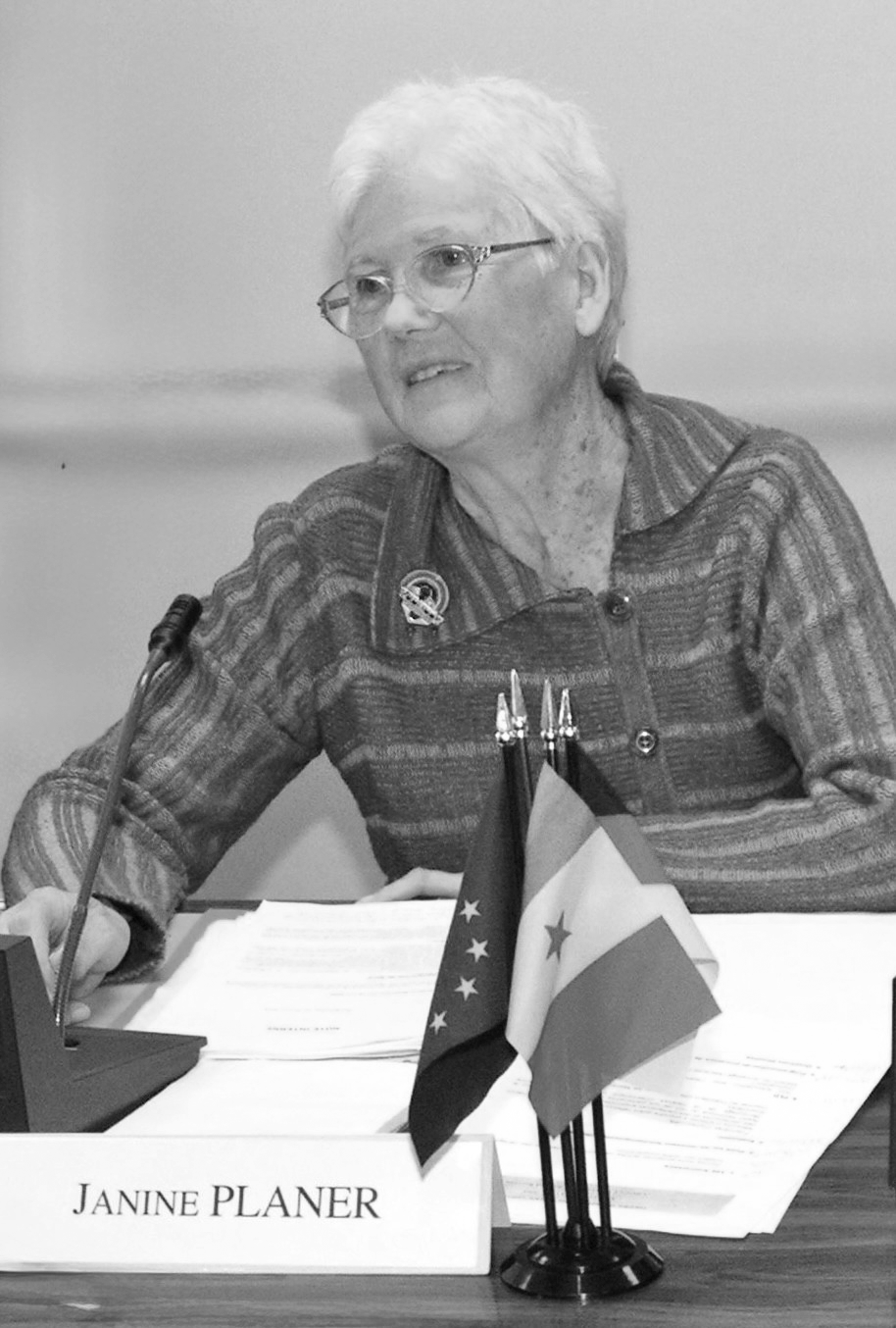 Janine Planer bei der Moderation eines Dreiertreffens der Städtepartnerschaft im Jahr 2006 Janine Planer bei der Moderation eines Dreiertreffens der Städtepartnerschaft im Jahr 2006