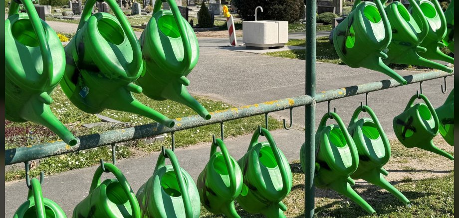 Symbolbild - Gießkannen