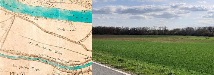 Frankfurter Wies' Frankfurter Wies'