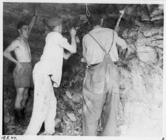 Kalksteinstollen in Weisenau