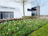 Kulturzentrum Piano´cktail