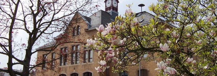 Ginsheim Town Hall 