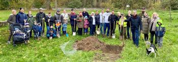 Neue Bäume für die Stadt
