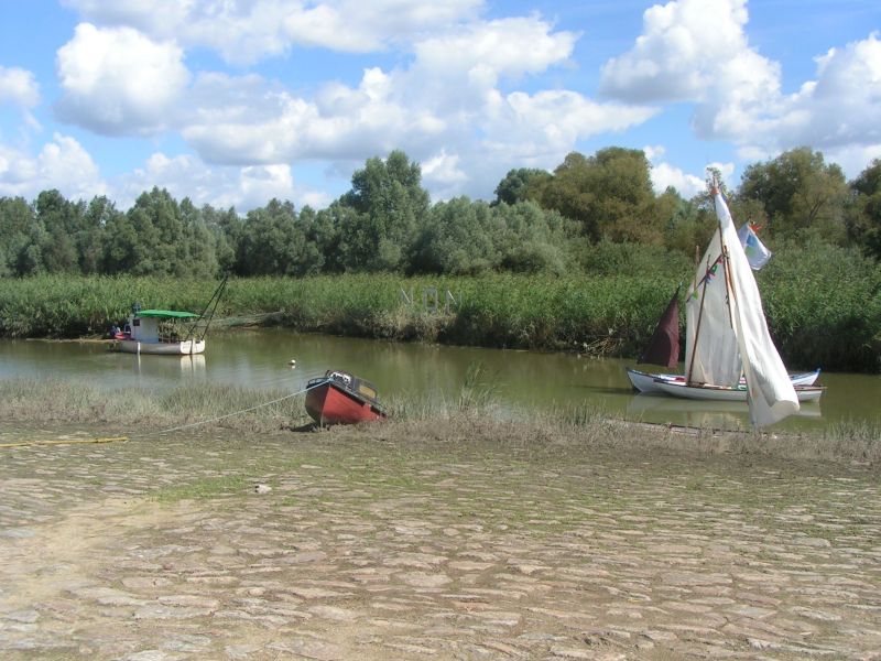 Port Lavigne