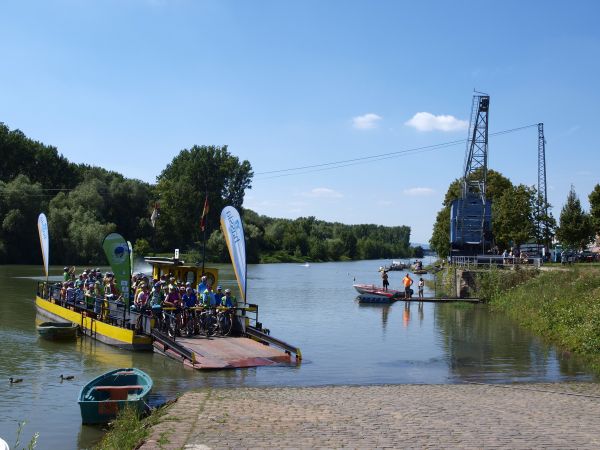 Old Rhine Embankment in Ginsheim